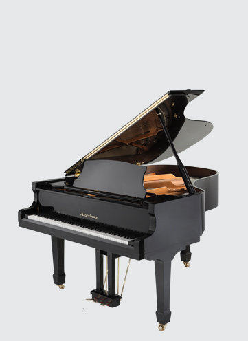奥格斯堡钢琴官方网站